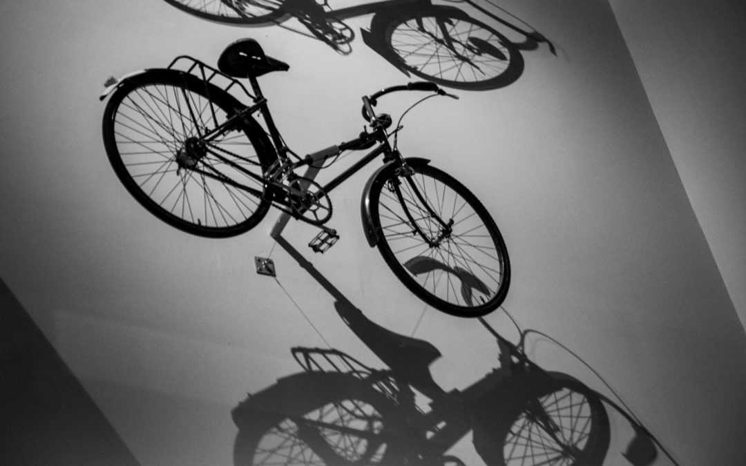 Bicicletas en la sombra