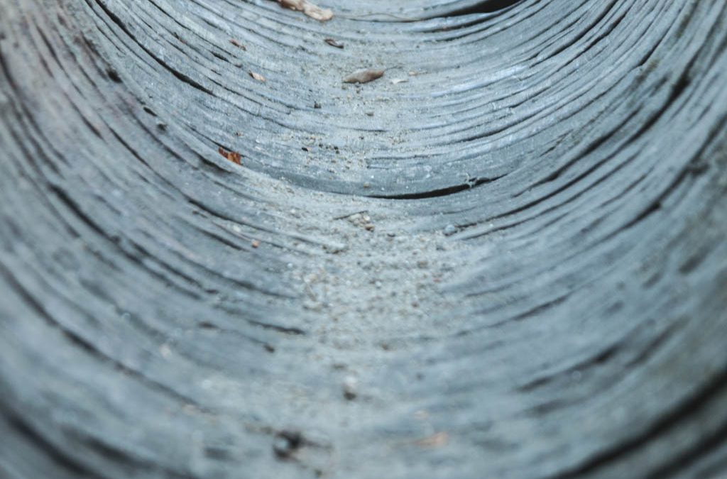 El camino de la naturaleza