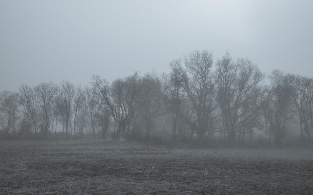 La niebla terrorífica está por todos los lados