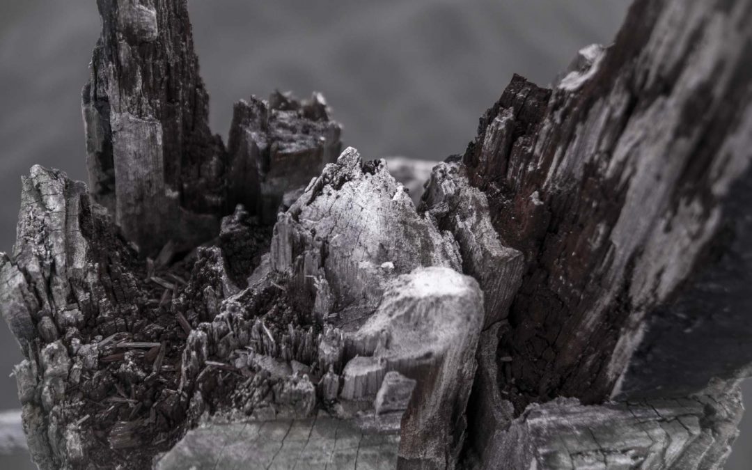 Pequeñas montañas de madera