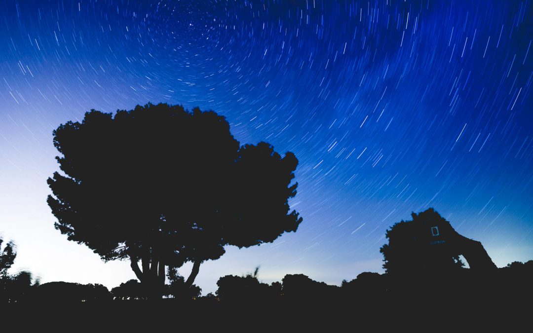Una noche cualquiera