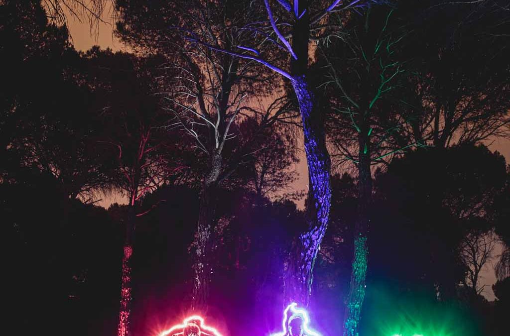 Enchanted forest lights