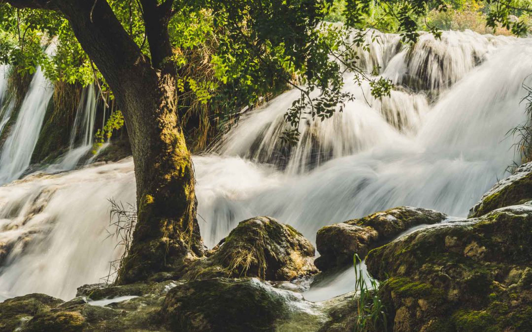 Pure nature