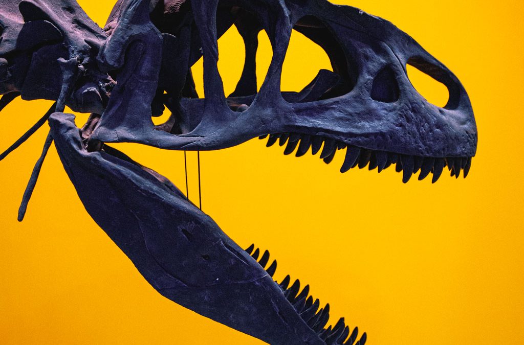 Allosaurus poster